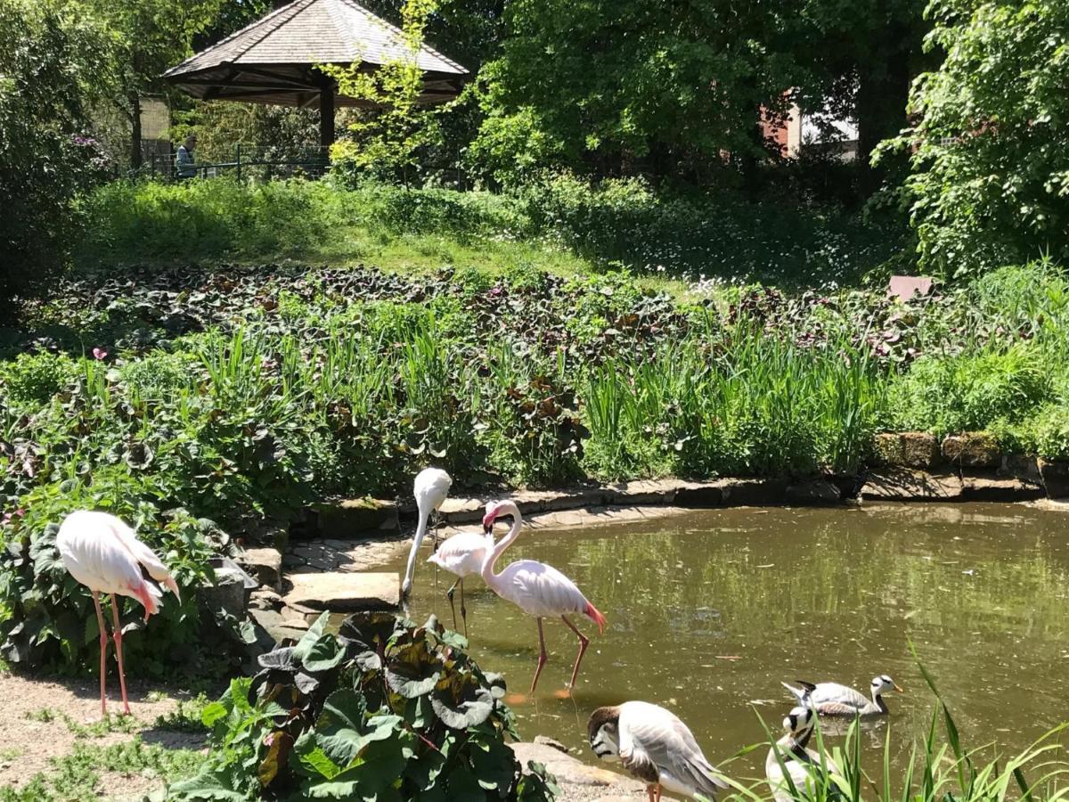 Ferienhaus Am Park Am Roehrensee Bayreuth Exteriör bild